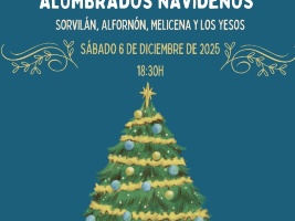 Encendido alumbrado navideño