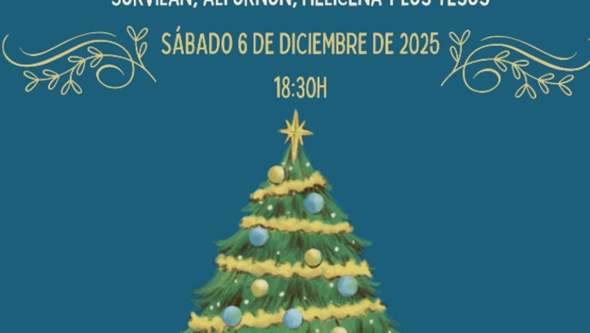 Publicidad promoción navideña